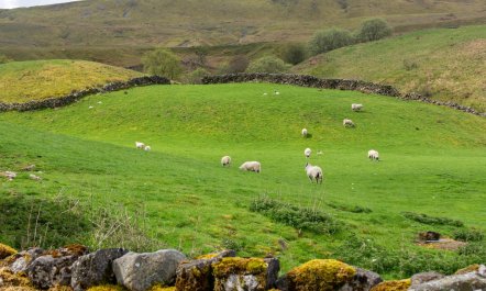 3 Bed in Gunnerside 4