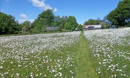 2 Bed in Biddenden 7