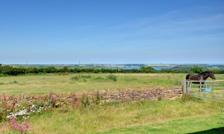 2 Bed in Wadebridge 2