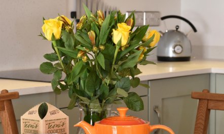 2 Bed in Woolacombe 8