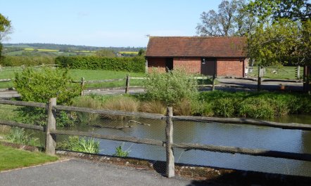 2 Bed in Nr Hailsham 9