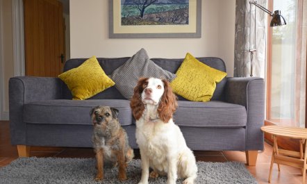 3 Bed in Thursford 6