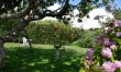 1 Bed in Padstow 9