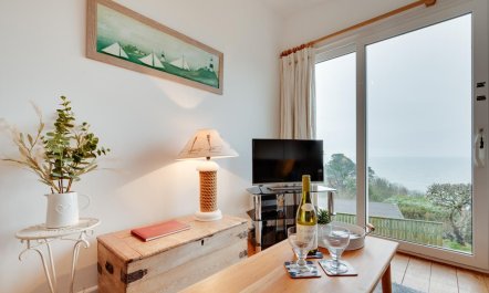 2 Bed in Stoke Fleming 2