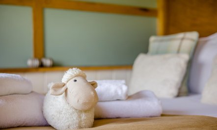 1 Bed in Brecon 8