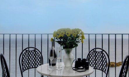 2 Bed in Ilfracombe 5