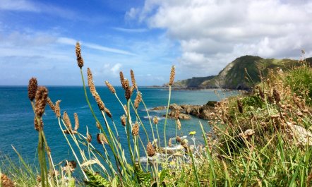 2 Bed in Ilfracombe 6