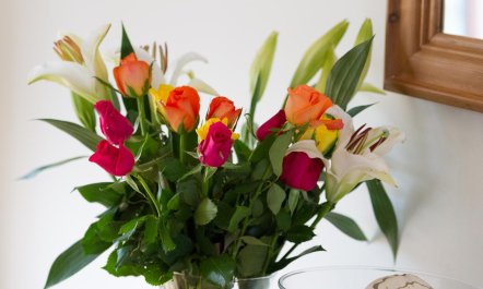 3 Bed in Tudweiliog 9