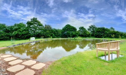 1 Bed in Beaworthy 9