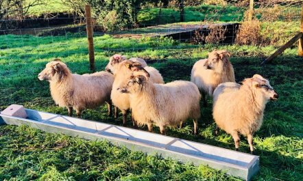 1 Bed in Middleton 9