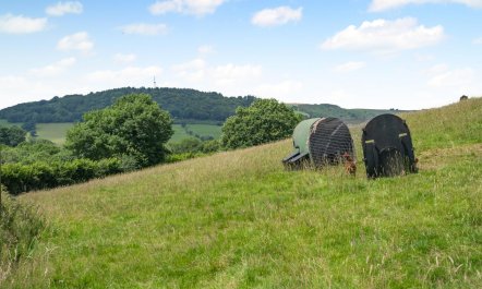 1 Bed in Nantygwreiddyn 9