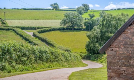 1 Bed in Nantygwreiddyn 8