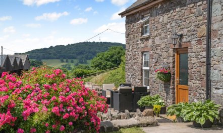 1 Bed in Nantygwreiddyn