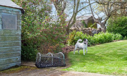 3 Bed in Holy Island 5