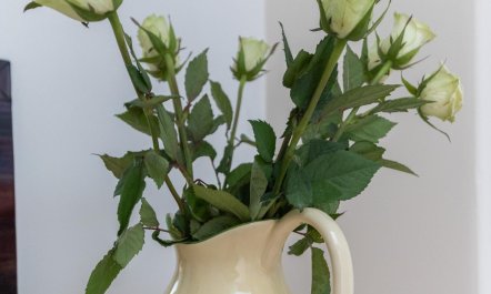 3 Bed in Scarborough 8