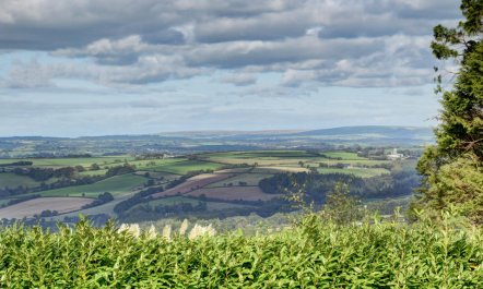 3 Bed in Burrington 4