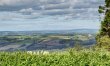 3 Bed in Burrington 4