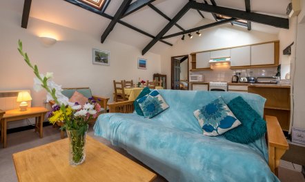 1 Bed in Llanbedrog 4