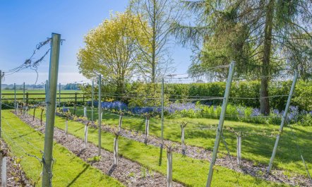 2 Bed in Oby 9