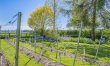 2 Bed in Oby 9