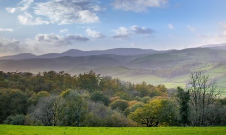 1 Bed in Machynlleth 5