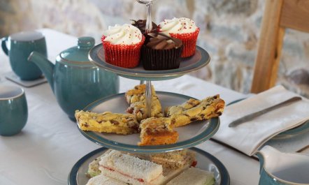 2 Bed in Llangadog 4