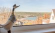 1 Bed in Swanage 8