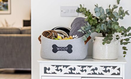 2 Bed in Aberystwyth 8