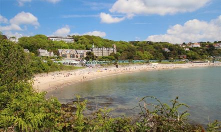 1 Bed in Langland 9