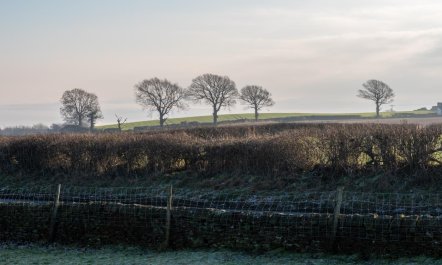 1 Bed in Chesterfield 8