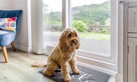 2 Bed in Chapel Stile 3