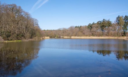 2 Bed in Hemblington 5