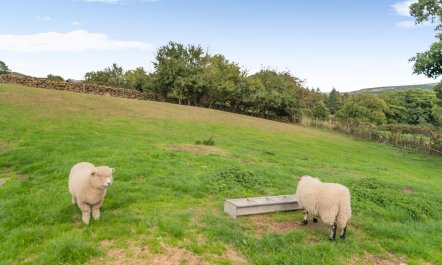 5 Bed in Fryup Dale 4