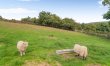 5 Bed in Fryup Dale 4