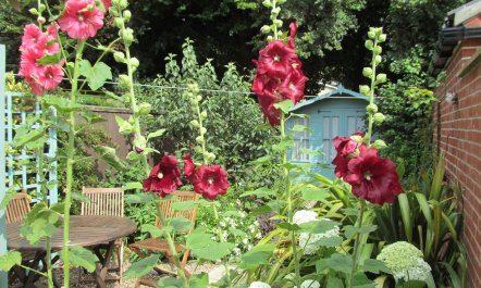 2 Bed in Saxmundham 8