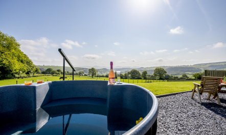 1 Bed in Cyffylliog 4