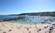 3 Bed in St Ives 1