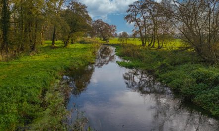 1 Bed in Quidenham 8