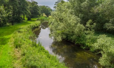 1 Bed in Quidenham 8