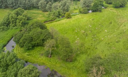 1 Bed in Quidenham 9