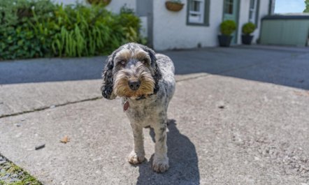 3 Bed in Cark In Cartmel 8