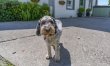 3 Bed in Cark In Cartmel 8