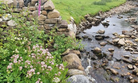 3 Bed in Horton-in-Ribblesdale 4