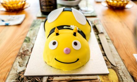 3 Bed in Stelling Minnis 6