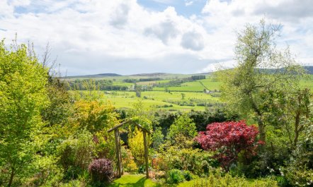 3 Bed in Rothbury 2