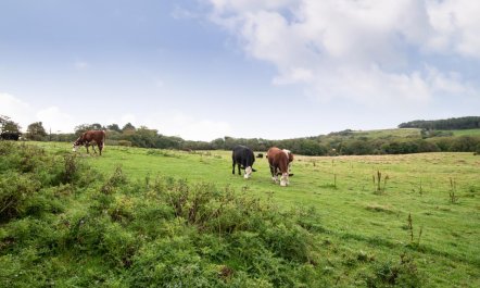 3 Bed in Staintondale 6