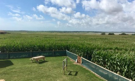 6 Bed in Nr Southwold 4