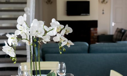 4 Bed in St. Ishmaels 3