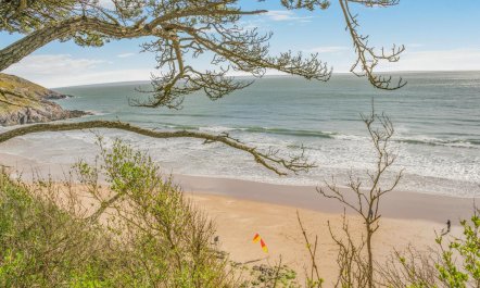 1 Bed in Bishopston 2