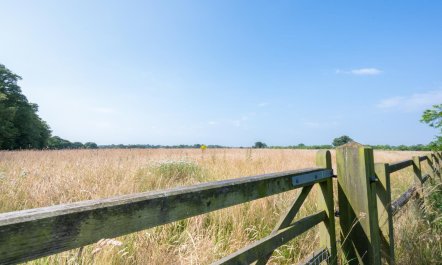 3 Bed in Rushmere St. Andrew 5